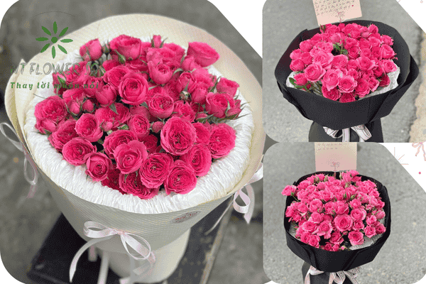 Shop Hoa Tươi Quận Tân Bình 